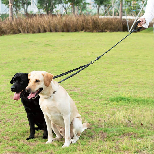 laisse double pour chien adapter