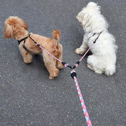 Laisse double pour chien | Bicani - empire chien