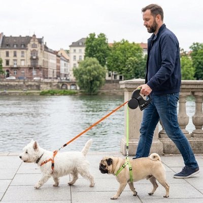 Laisse double pour Chien | LaisseSmart - empire chien
