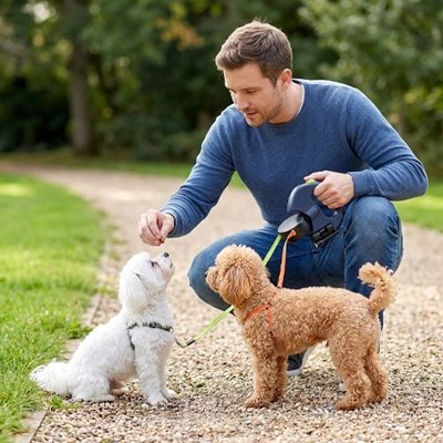 Laisse double pour Chien | LaisseSmart - empire chien