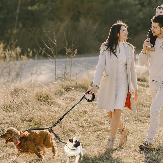 Laisse double pour chien | Pattedeux - empire chien