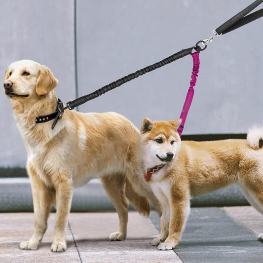 laisse double pour chien superbe