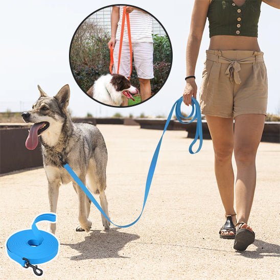 Laisse pour chien | canilune - empire chien