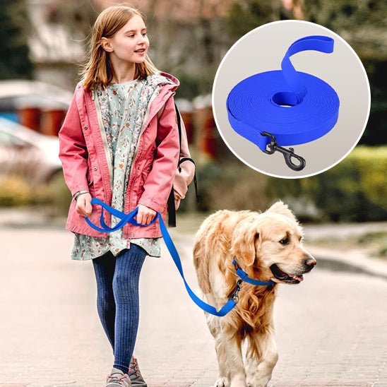 Laisse pour chien | canilune - empire chien