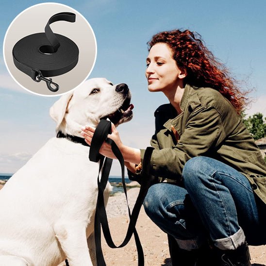 Laisse pour chien | canilune - empire chien