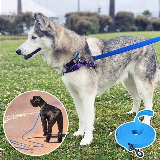Laisse pour chien | canilune - empire chien