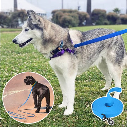 Laisse pour chien | canilune - empire chien