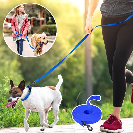 Laisse pour chien | canilune - empire chien