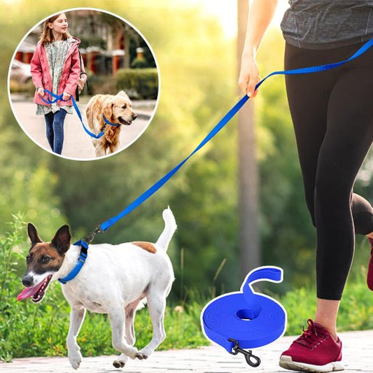 Laisse pour chien | canilune - empire chien