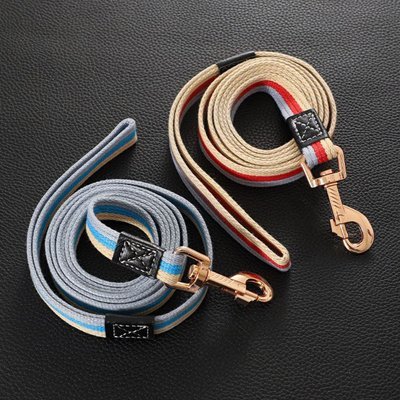 Laisse pour Chien | Idealaisse - empire chien