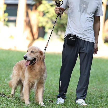 Laisse pour chien | prominou - empire chien