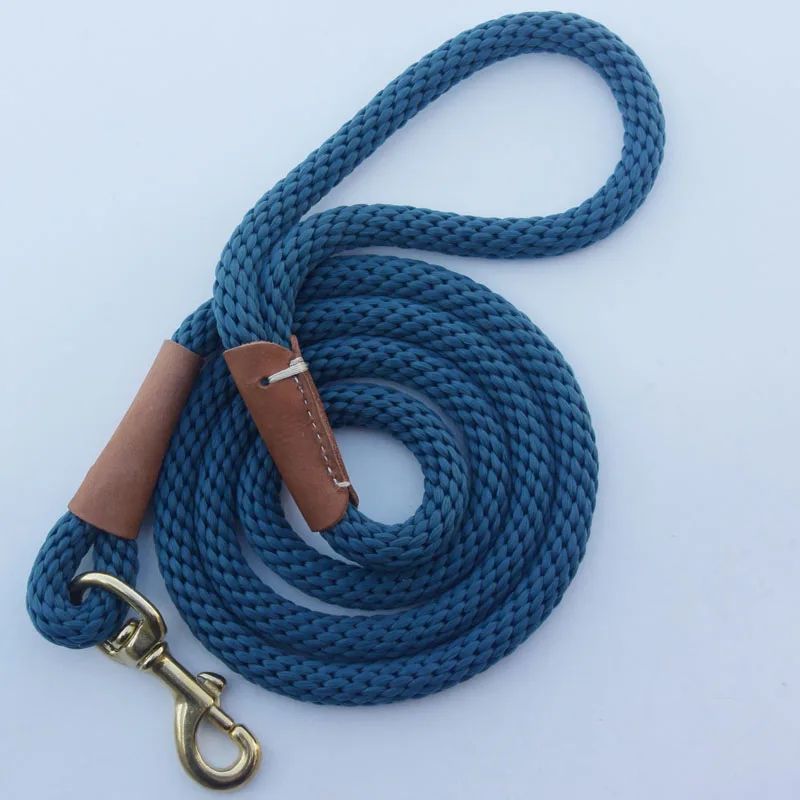 Laisse pour chien | prominou - empire chien