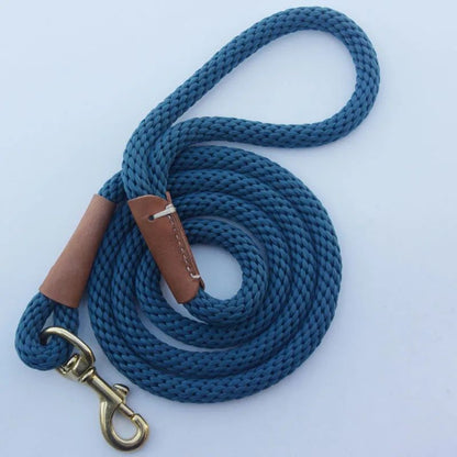 Laisse pour chien | prominou - empire chien
