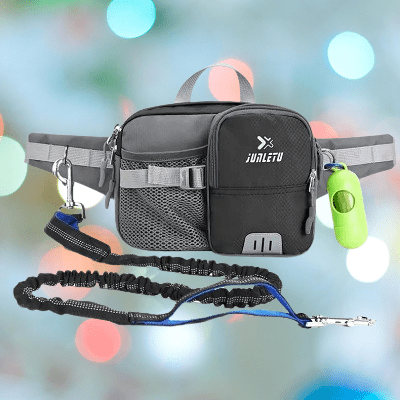 Laisse pour Chien - WaistBag™ - Gris - empire chien