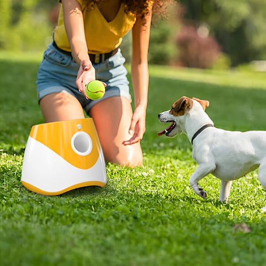 Lanceur de balle pour chien | Chienjet - empire chien