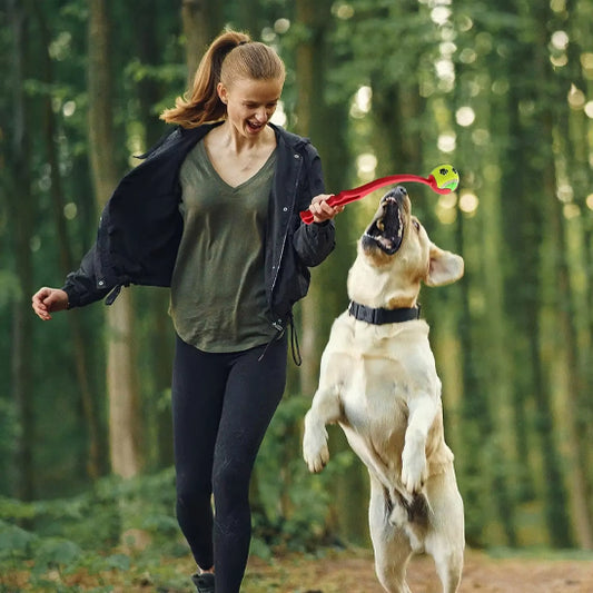 lanceur de balle pour chien cool