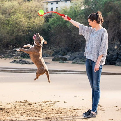 Lanceur de balle pour chien | LanceToutou - empire chien