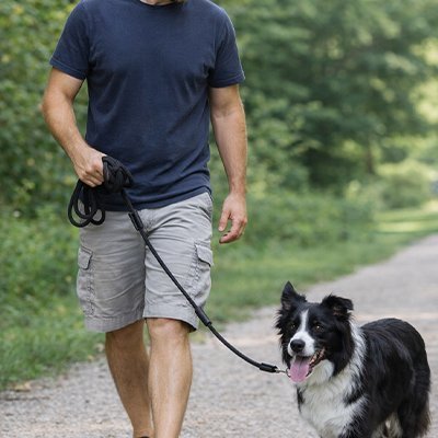 Longe pour Chien | LongeRobust - empire chien