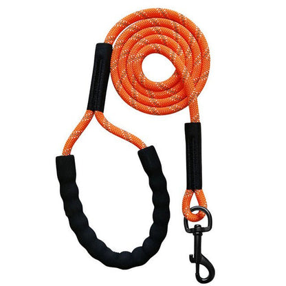 Longe pour chien | Securipromenade - empire chien