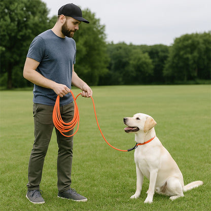 longue pour chien promenade
