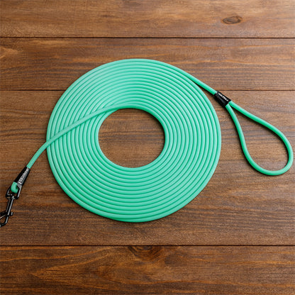 longue pour chien vert
