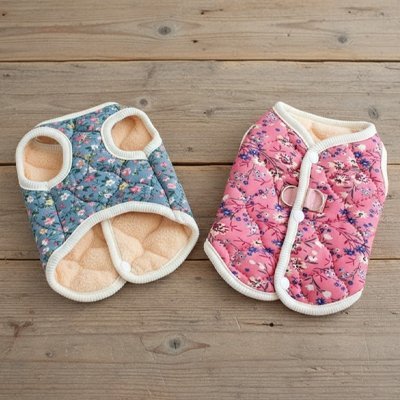 Manteau Chien | Chaleur & Protection - empire chien