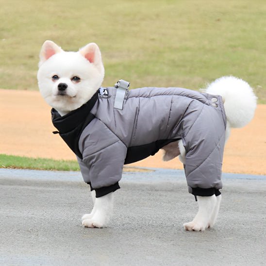 Manteau chien | Chaudou - empire chien
