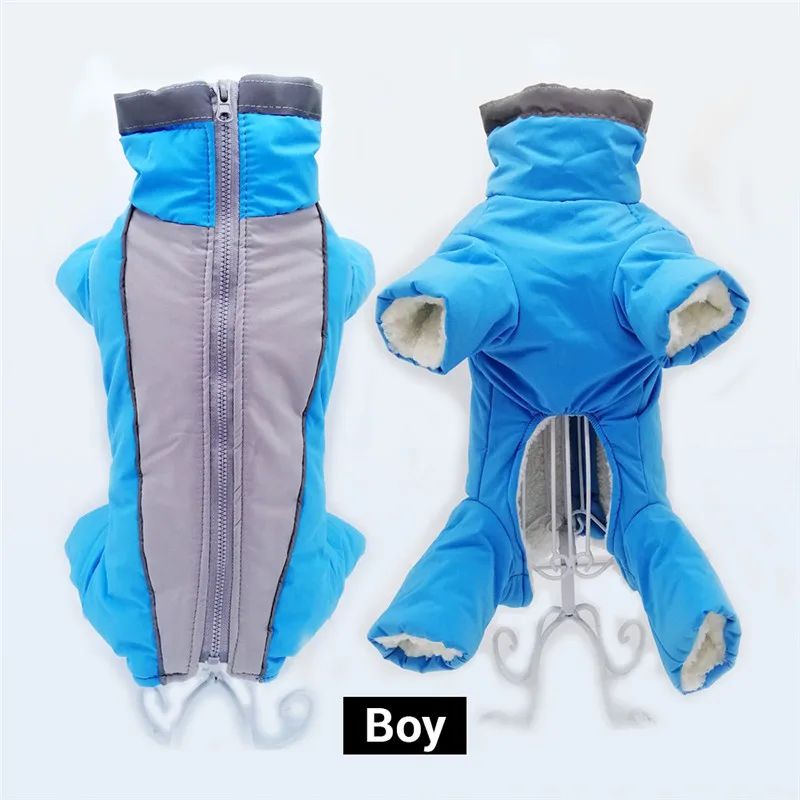 Manteau chien | Chaudou - empire chien