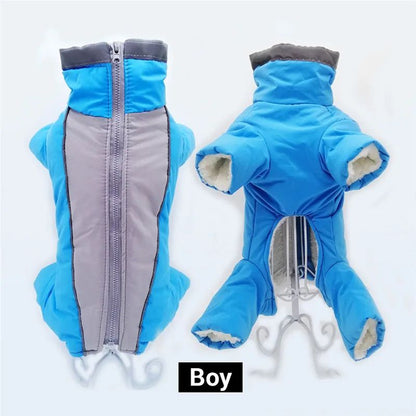 Manteau chien | Chaudou - empire chien
