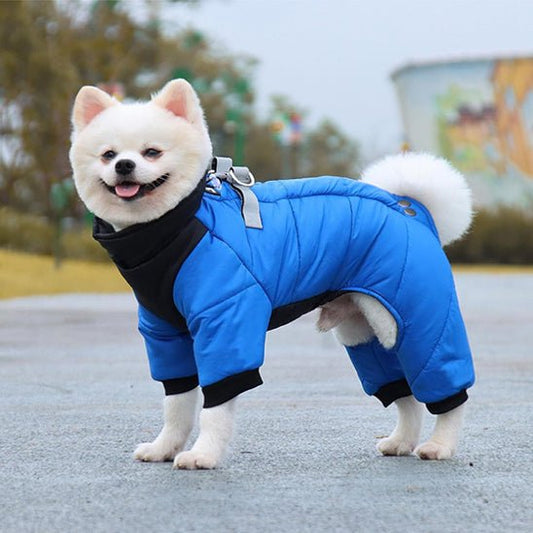 Manteau chien | Chaudou - empire chien