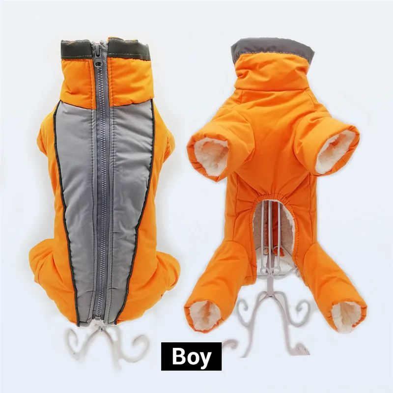 Manteau chien | Chaudou - empire chien