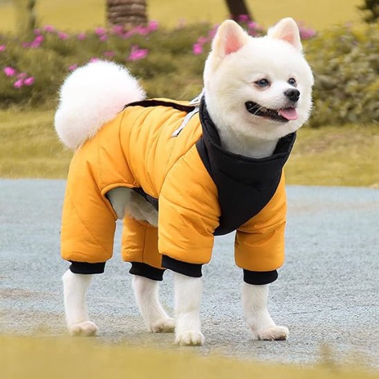 Manteau chien | Chaudou - empire chien