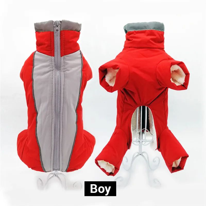 Manteau chien | Chaudou - empire chien