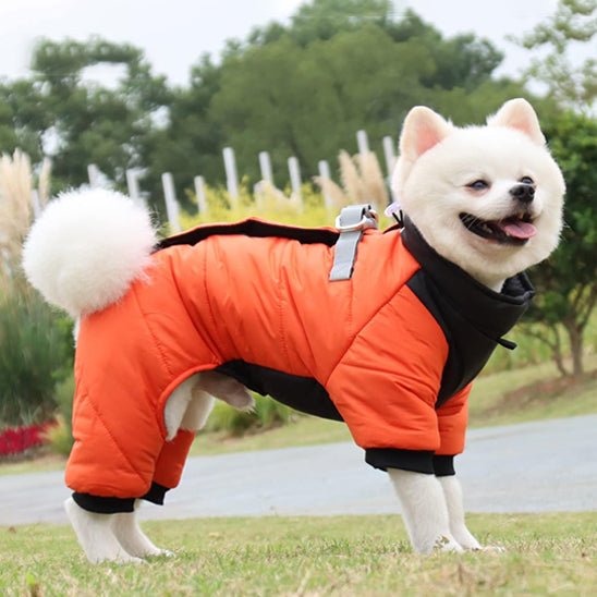 Manteau chien | Chaudou - empire chien