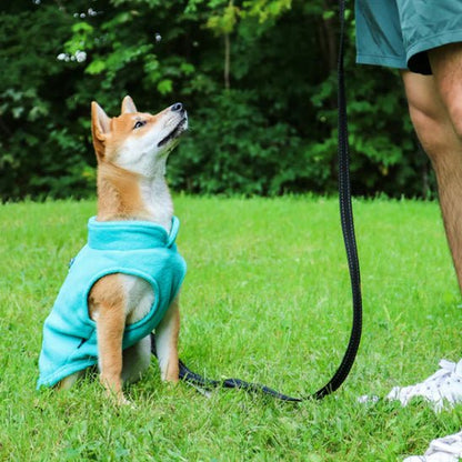 Manteau chien | ManteauDoux - empire chien