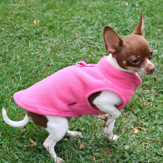 Manteau chien | ManteauDoux - empire chien