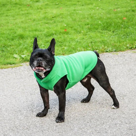Manteau chien | ManteauDoux - empire chien