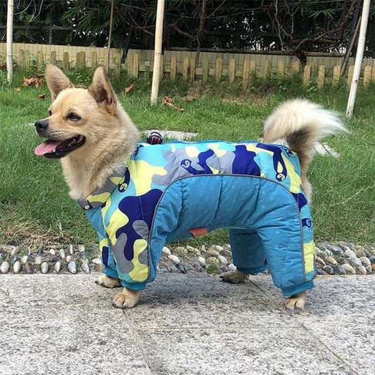 Manteau pour chien | chicManteau - empire chien