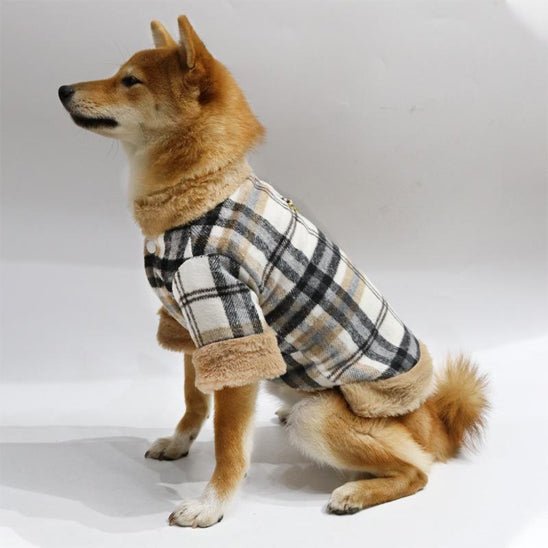 Manteau pour chien | ChienClasse - empire chien