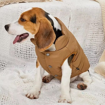 Manteau pour chien | ChouManteau - empire chien