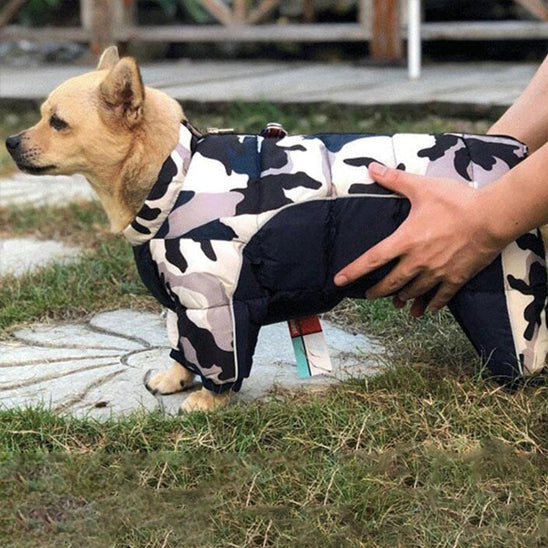 manteau pour chien cool