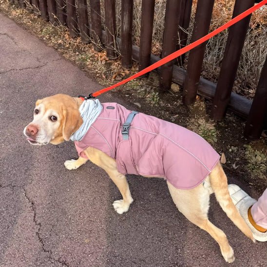 Manteau pour chien | Toutoufroid - empire chien