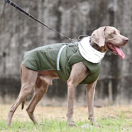 Manteau pour chien | Toutoufroid - empire chien