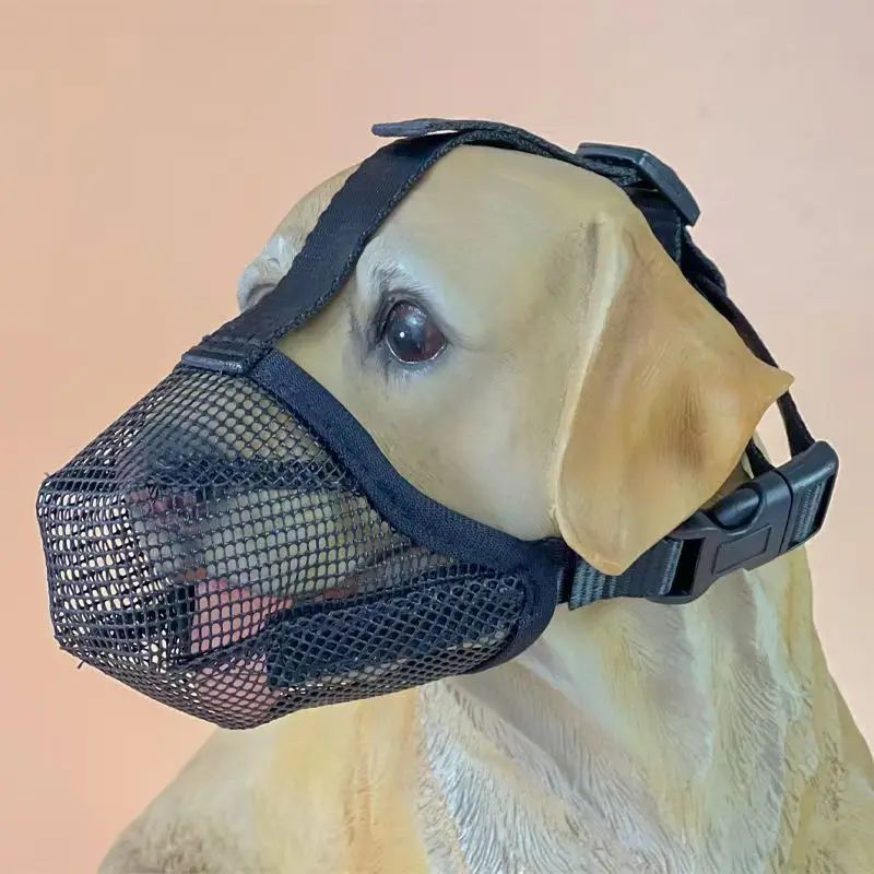 Muselière pour chien | Muzen - empire chien