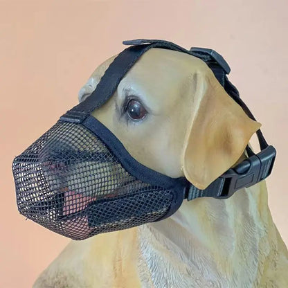 Muselière pour chien | Muzen - empire chien