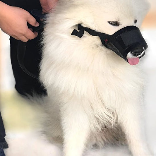 Muselière pour chien | Muzounet - empire chien