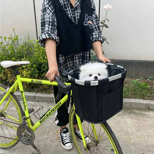 panier velo chien balade