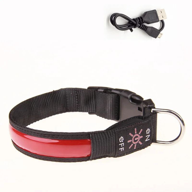 Colliers lumineux pour chiens | Lumidog