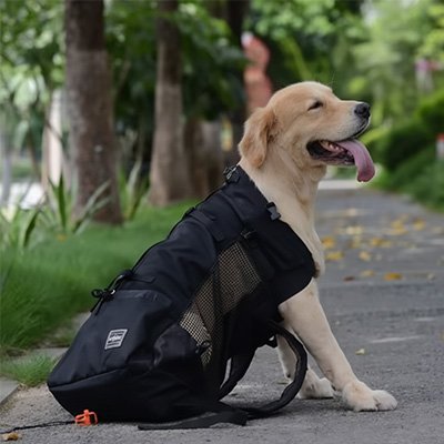 Sac à dos pour Chien | UltraConfort - empire chien
