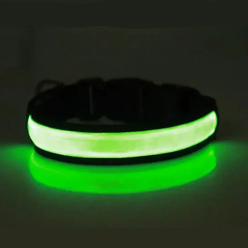 Colliers lumineux pour chiens | Lumidog